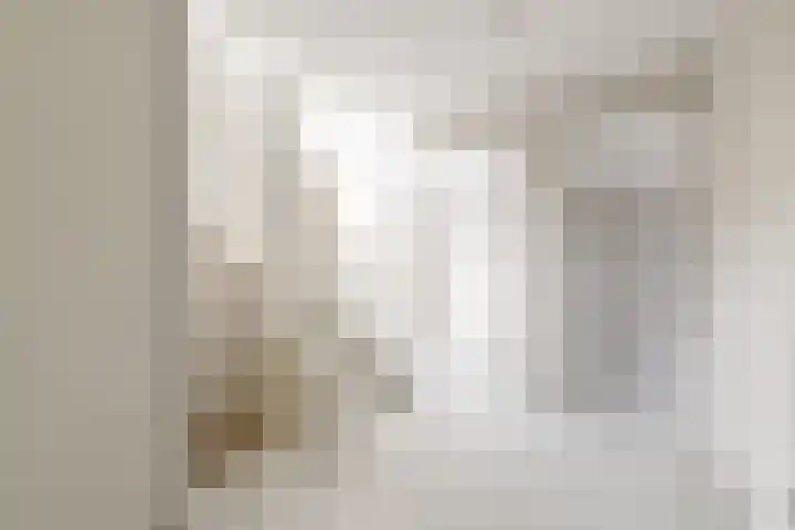 IJsvogel 12 Muiden thumbnail 21
