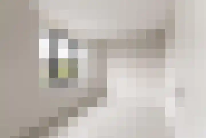 IJsvogel 12 Muiden thumbnail 22