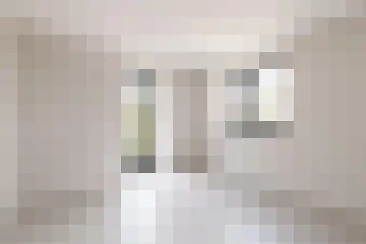 IJsvogel 12 Muiden thumbnail 24