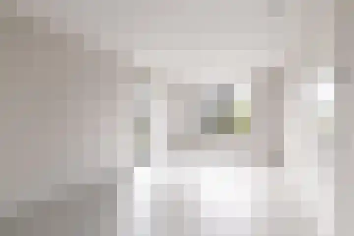 IJsvogel 12 Muiden thumbnail 25