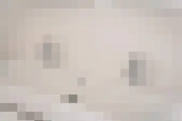 IJsvogel 12 Muiden thumbnail 27