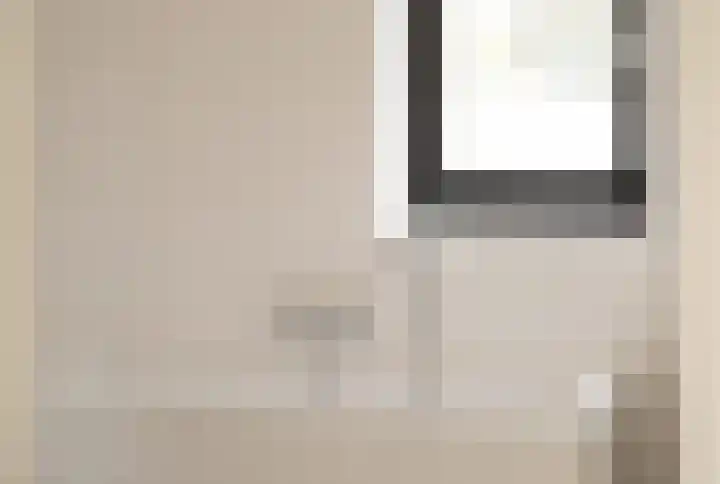 IJsvogel 12 Muiden thumbnail 28