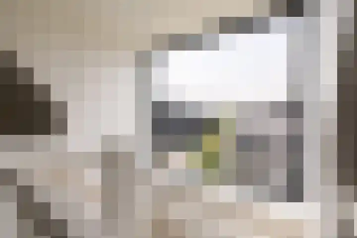 IJsvogel 12 Muiden thumbnail 29