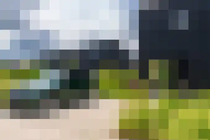 IJsvogel 12 Muiden thumbnail 33
