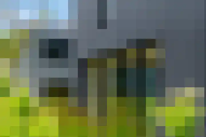 IJsvogel 12 Muiden thumbnail 35