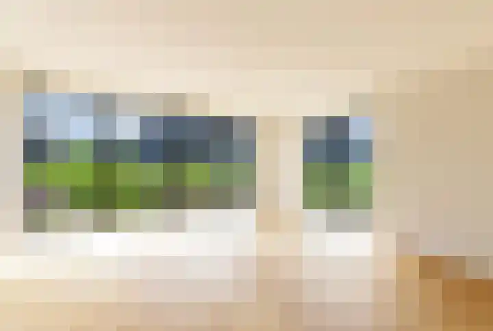 IJsvogel 12 Muiden thumbnail 4
