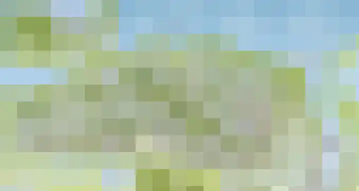 IJsvogel 12 Muiden thumbnail 40