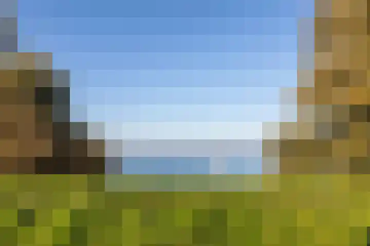 IJsvogel 12 Muiden thumbnail 43