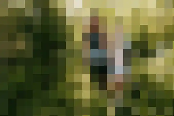 IJsvogel 12 Muiden thumbnail 44