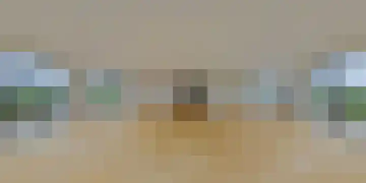 IJsvogel 12 Muiden thumbnail 49