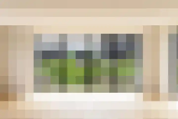 IJsvogel 12 Muiden thumbnail 5