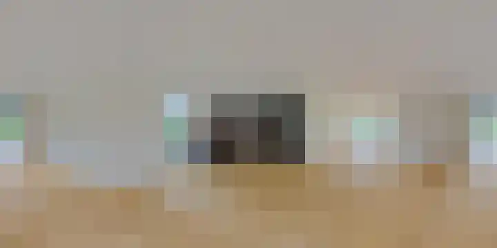 IJsvogel 12 Muiden thumbnail 50