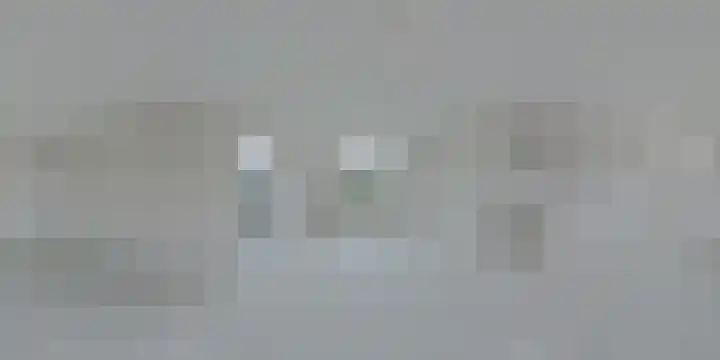 IJsvogel 12 Muiden thumbnail 52