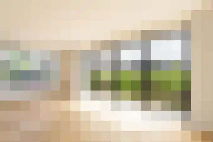 IJsvogel 12 Muiden thumbnail 6