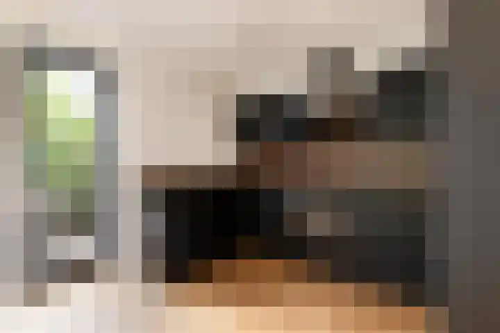 IJsvogel 12 Muiden thumbnail 8