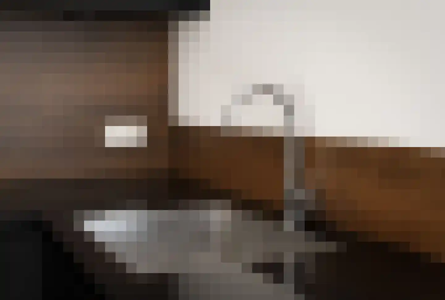 IJsvogel 15 Muiden thumbnail 16