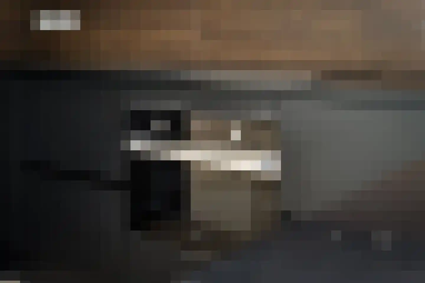 IJsvogel 15 Muiden thumbnail 17