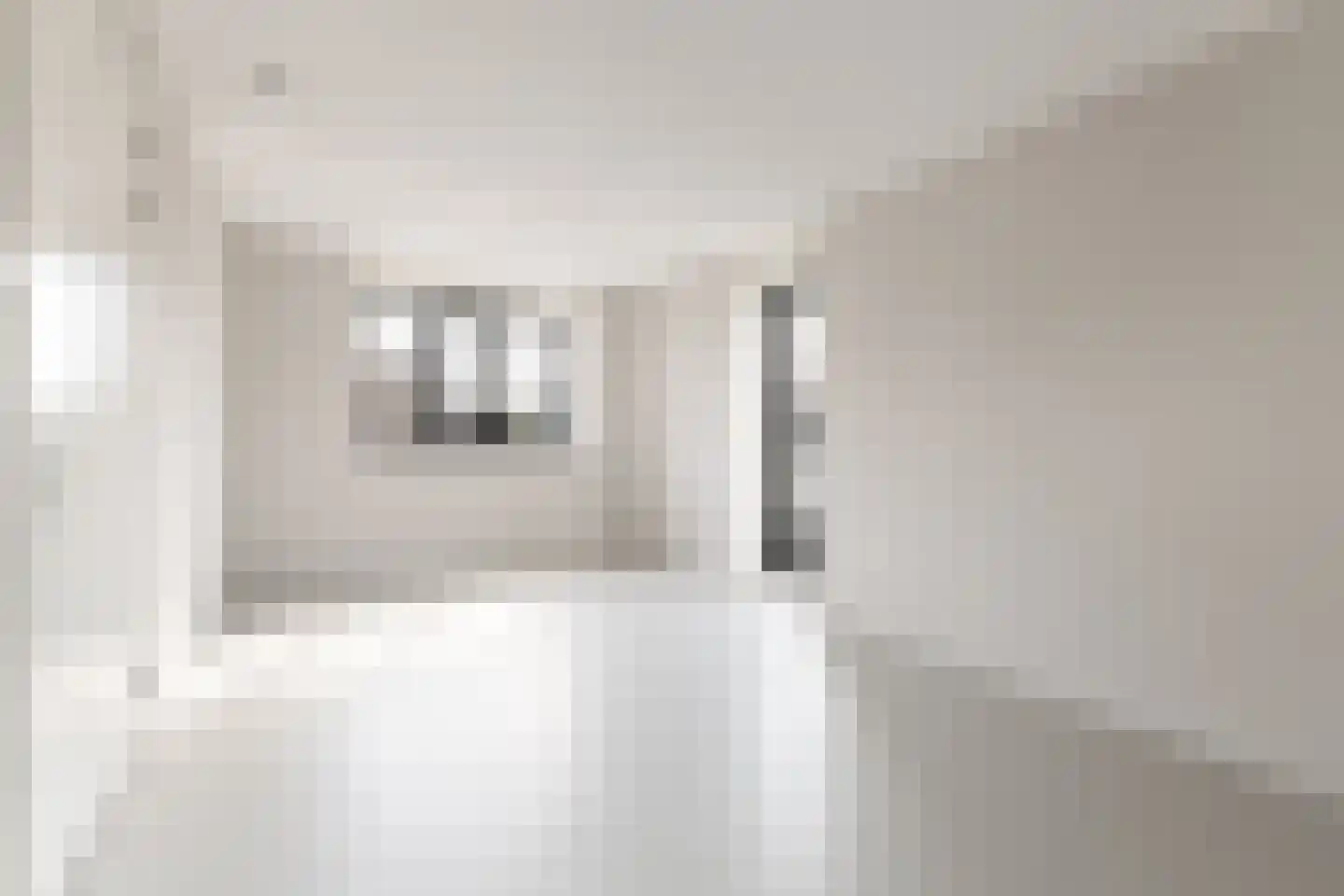 IJsvogel 15 Muiden thumbnail 20