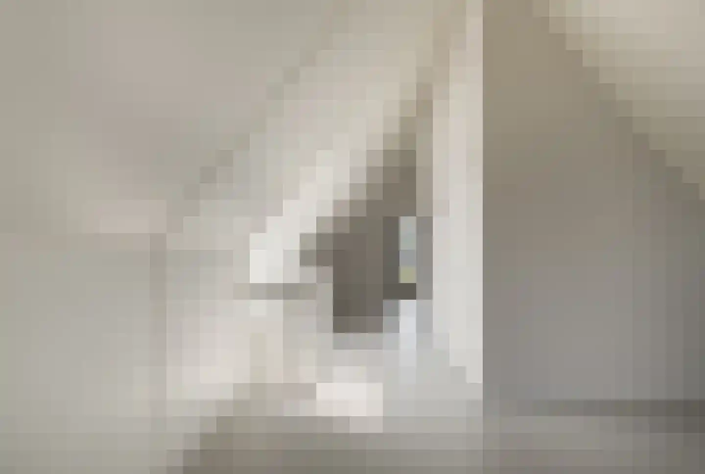 IJsvogel 15 Muiden thumbnail 29