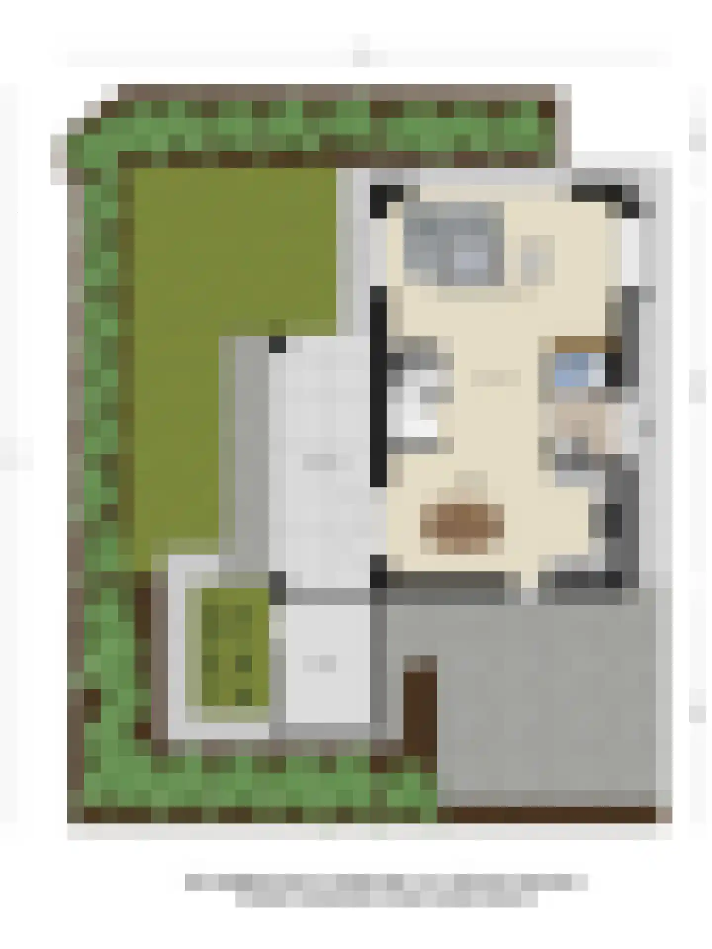 IJsvogel 15 Muiden thumbnail 37