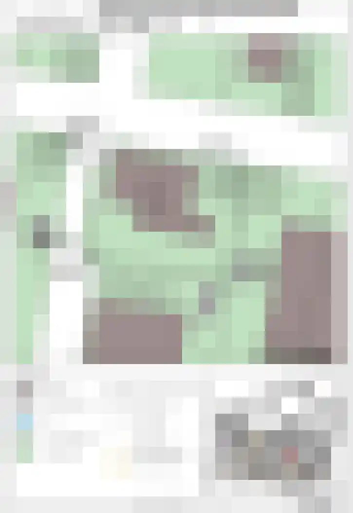 IJsvogel 15 Muiden thumbnail 41