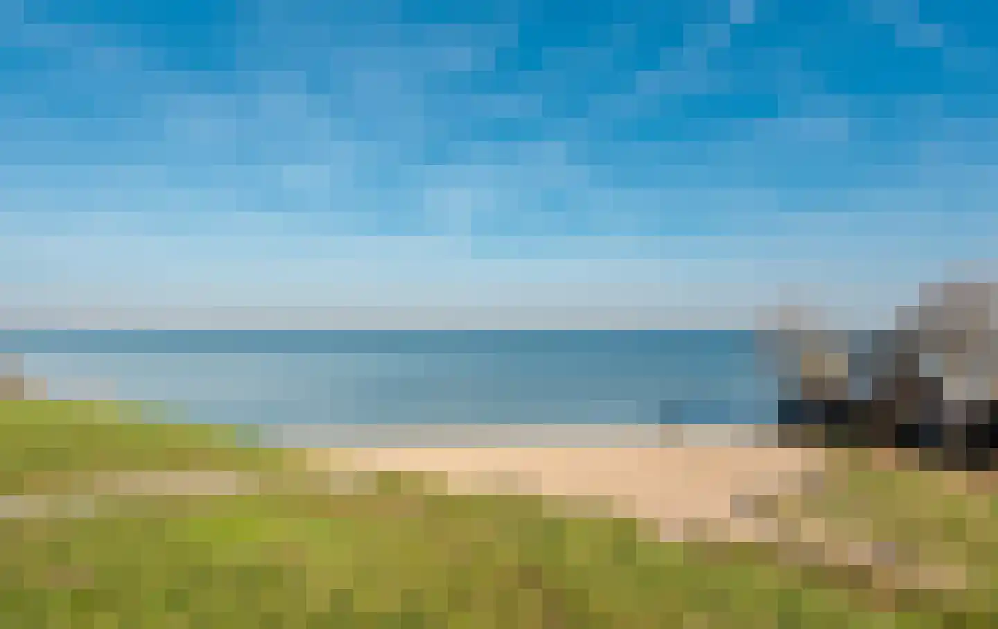 IJsvogel 15 Muiden thumbnail 42
