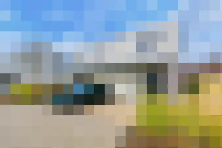 IJsvogel 4 Muiden