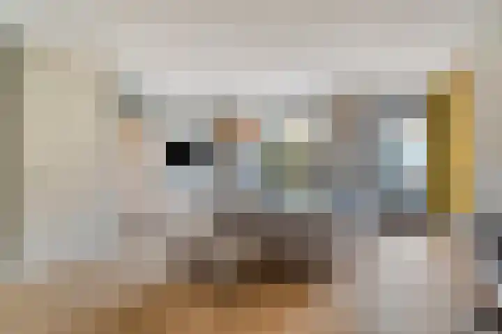 IJsvogel 4 't Harde thumbnail 14