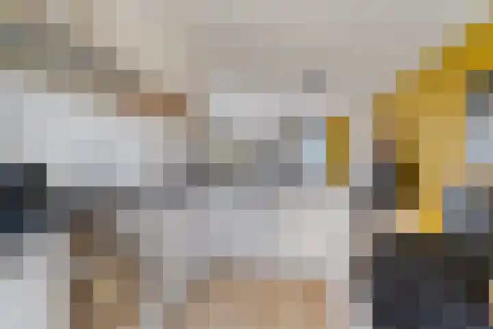 IJsvogel 4 't Harde thumbnail 18