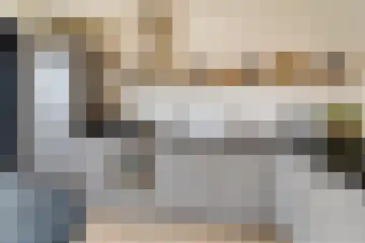 IJsvogel 4 't Harde thumbnail 20
