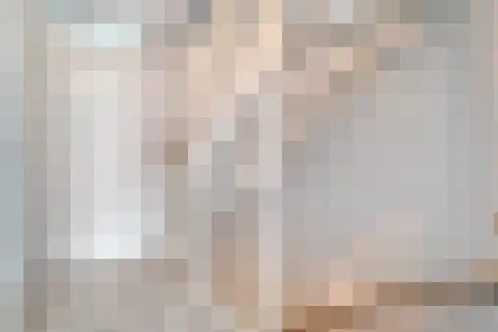 IJsvogel 4 't Harde thumbnail 21