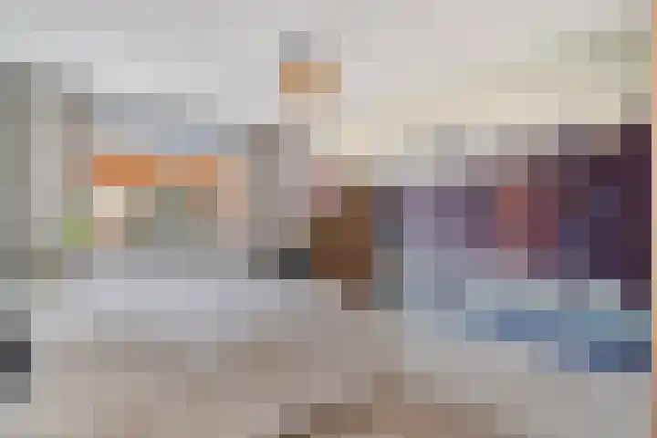 IJsvogel 4 't Harde thumbnail 22