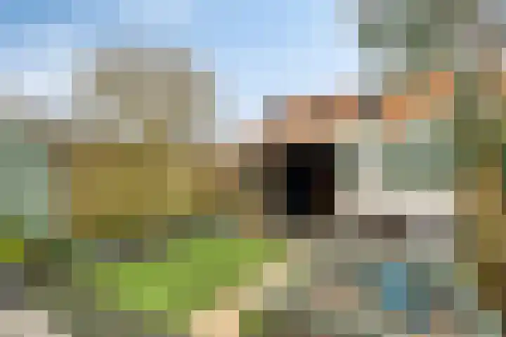IJsvogel 4 't Harde thumbnail 33