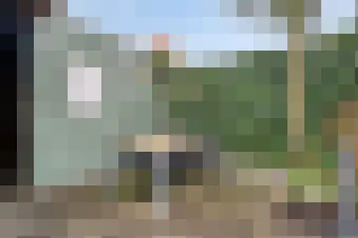 IJsvogel 4 't Harde thumbnail 35