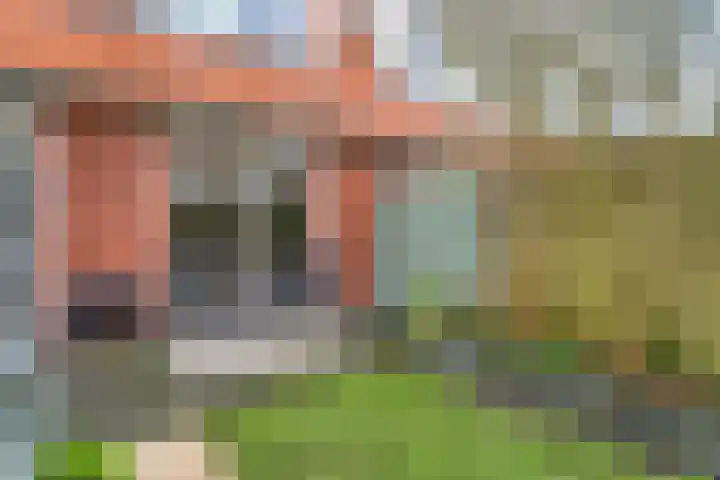 IJsvogel 4 't Harde thumbnail 37