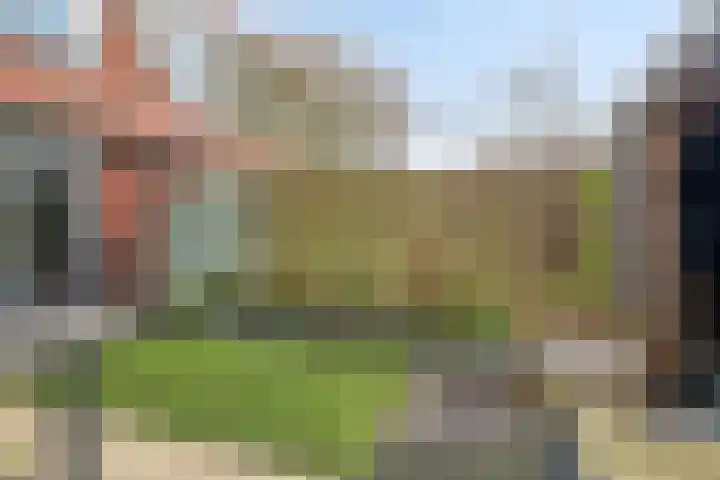 IJsvogel 4 't Harde thumbnail 38