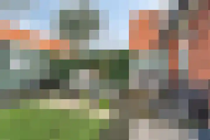 IJsvogel 4 't Harde thumbnail 39