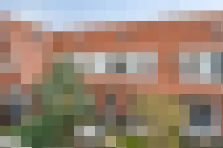 IJsvogel 4 't Harde thumbnail 40