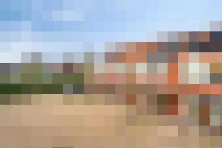 IJsvogel 4 't Harde thumbnail 41