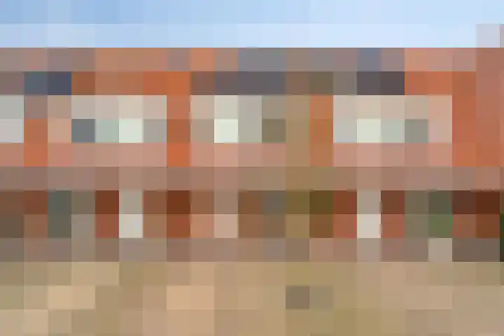 IJsvogel 4 't Harde thumbnail 6