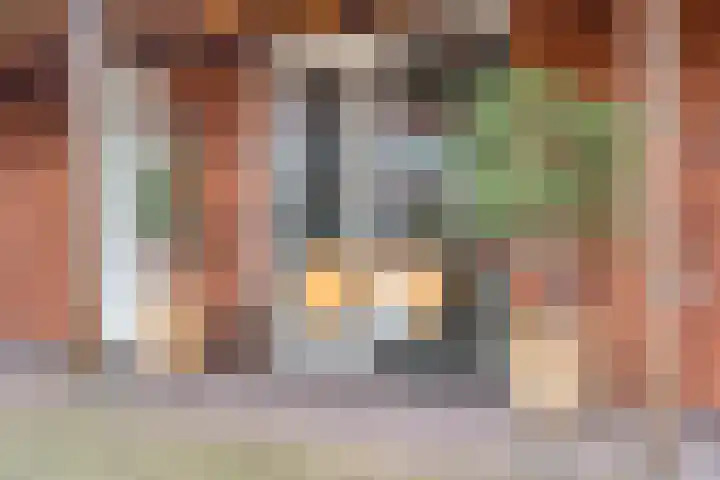 IJsvogel 4 't Harde thumbnail 7