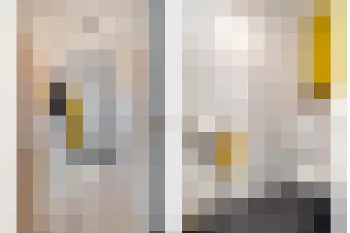 IJsvogel 4 't Harde thumbnail 8