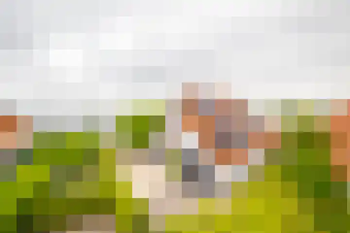 IJsvogel 65 Lathum