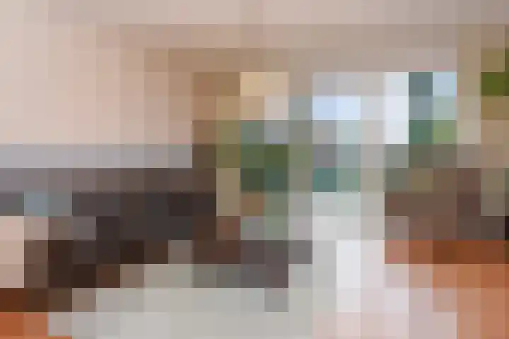 IJsvogelpad 10 Delft thumbnail 10