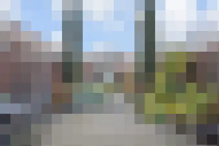 IJsvogelpad 10 Delft thumbnail 13