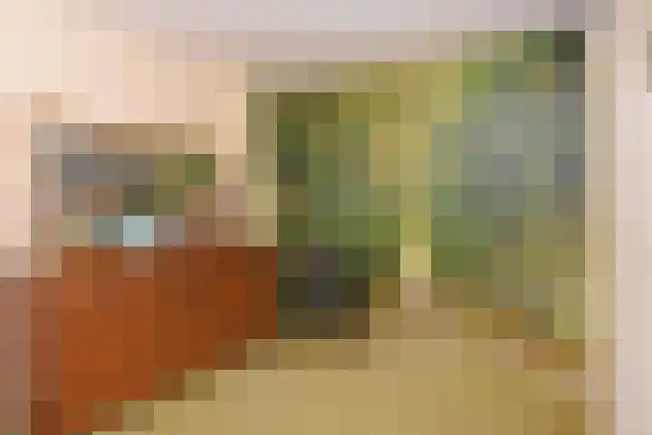 IJsvogelpad 10 Delft thumbnail 32