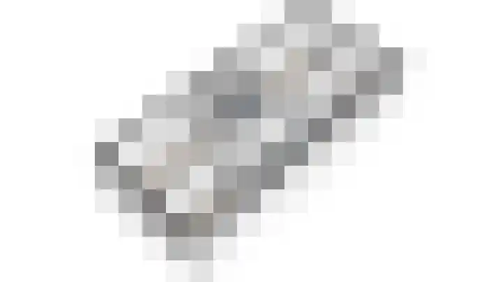 IJsvogelpad 10 Delft thumbnail 43