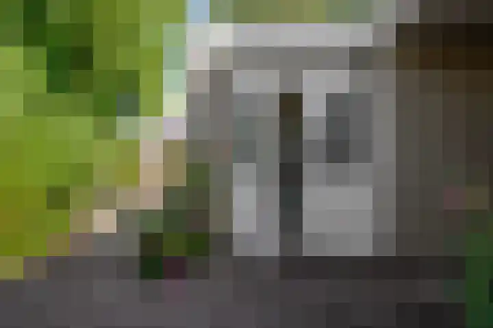 IJsvogelstraat 73 Wormer thumbnail 14