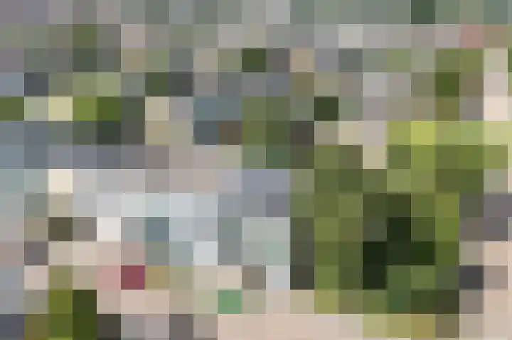 IJsvogelstraat 73 Wormer thumbnail 45
