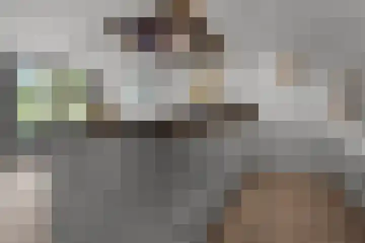 IJsvogelstraat 73 Wormer thumbnail 7